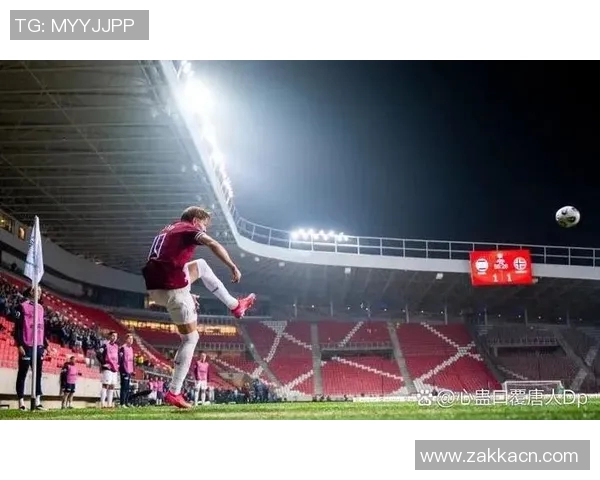 足球世界杯：荣耀与挑战并存，回顾历史，展望未来，全球赛场再掀热潮